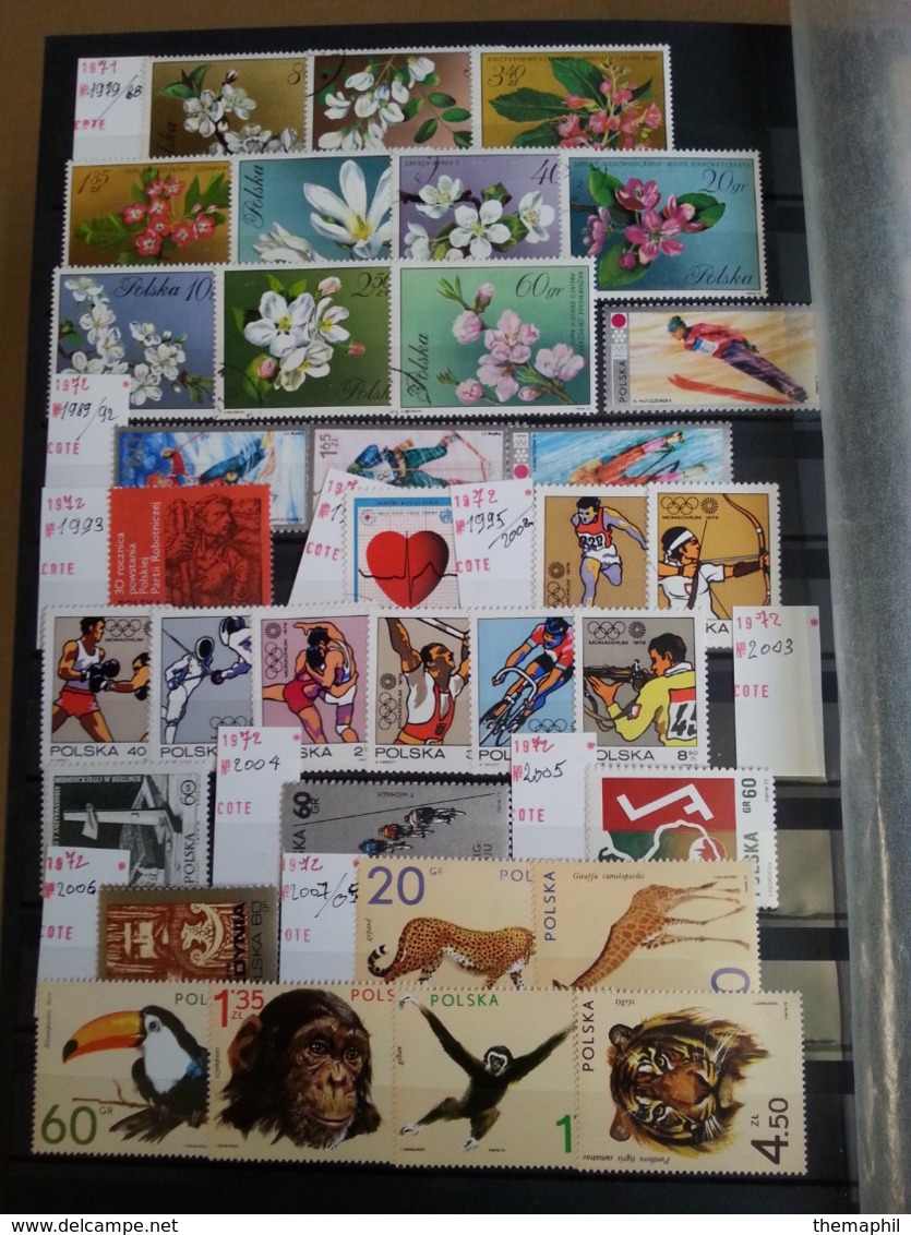 lot n° T 736 POLOGNE tres bon lot de timbres neufs** la plupart