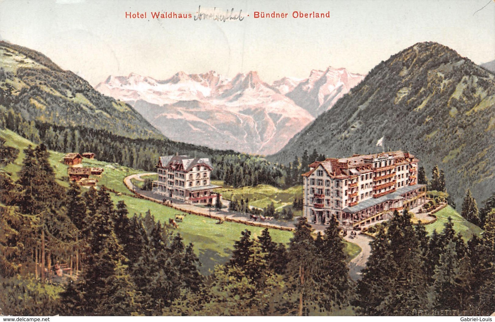 Hotel Waldhaus Bündner Oberland - Flims - Flims