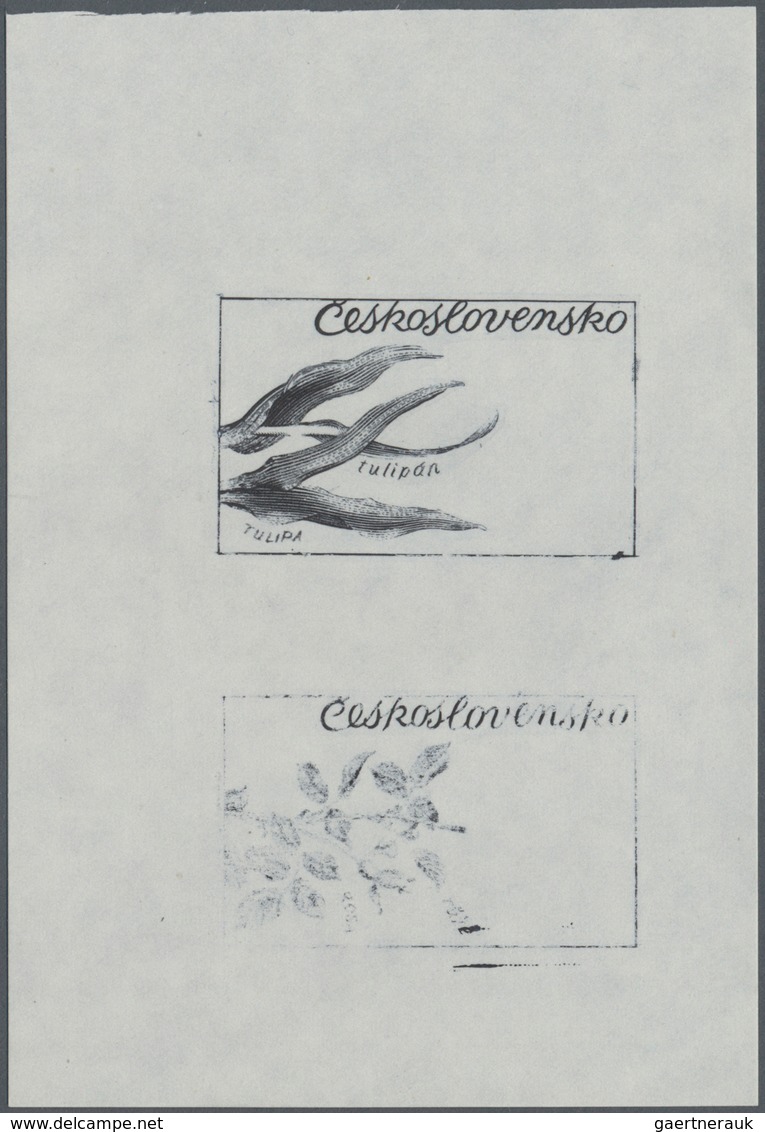 Thematik: Flora, Botanik / Flora, Botany, Bloom: 1973, Czechoslovakia, 60h. "Tulipa", Three Progress - Andere & Zonder Classificatie