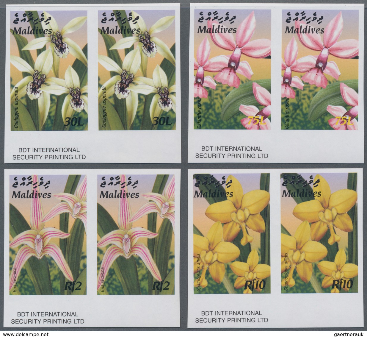 Thematik: Flora, Botanik / Flora, Botany, Bloom: 2003, MALDIVES: Native Plants Complete Set Of Four - Other & Unclassified