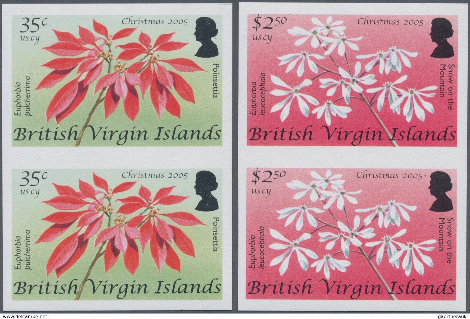 Thematik: Flora, Botanik / Flora, Botany, Bloom: 2005, BRITISH VIRGIN ISLANDS: Christmas Complete Se - Andere & Zonder Classificatie