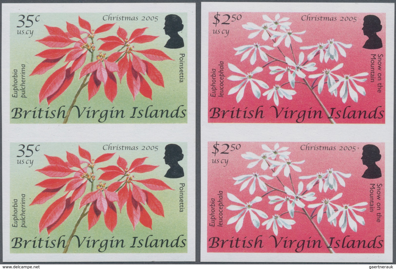 Thematik: Flora, Botanik / Flora, Botany, Bloom: 2005, BRITISH VIRGIN ISLANDS: Christmas Complete Se - Other & Unclassified