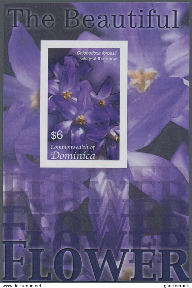 Thematik: Flora, Botanik / Flora, Botany, Bloom: 2005, Dominica. Imperforate Souvenir Sheet (1 Value - Andere & Zonder Classificatie