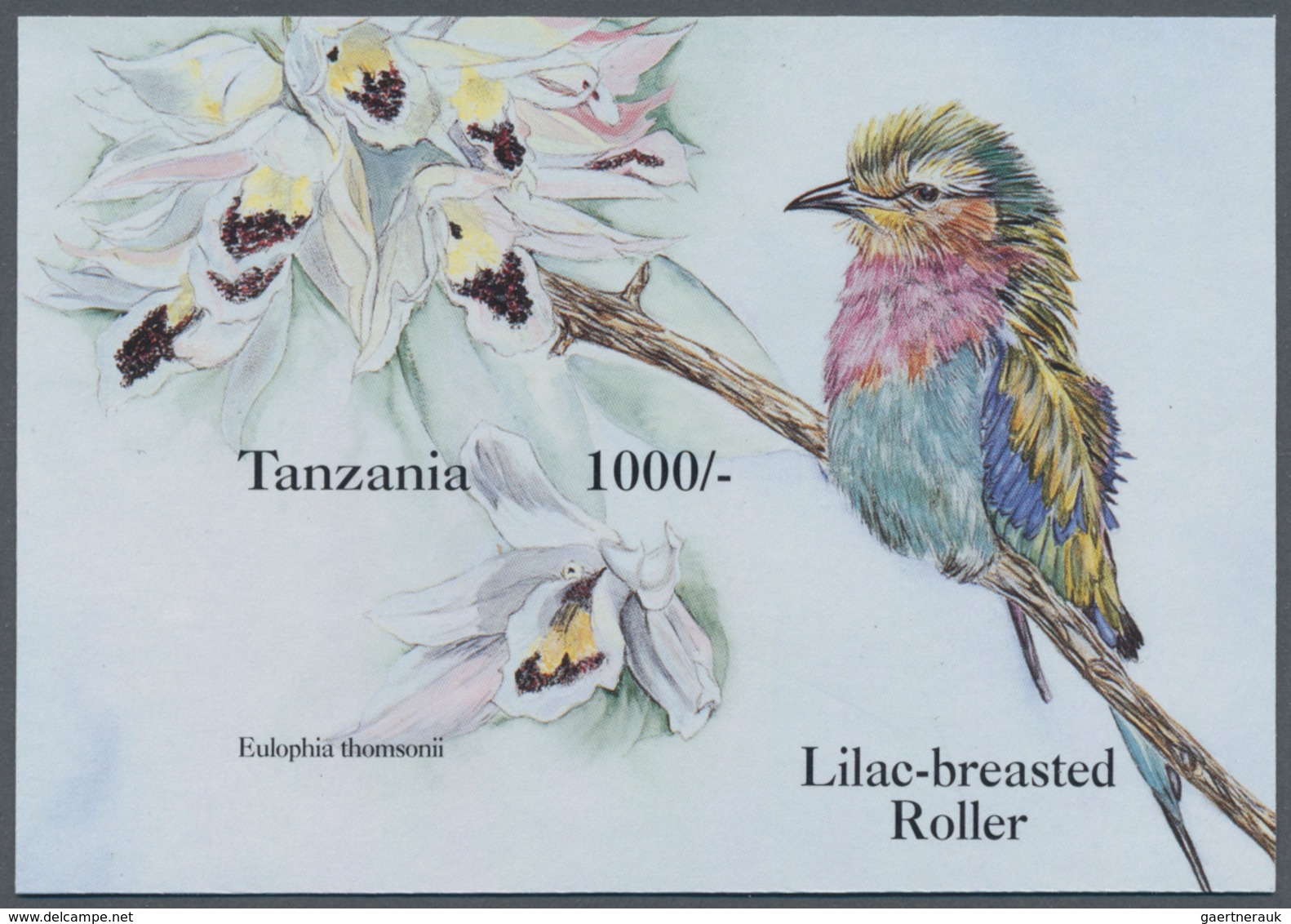 Thematik: Flora-Orchideen / Flora-orchids: 1994, Tanzania. Imperforate Souvenir Sheet (1 Value) From - Orchids