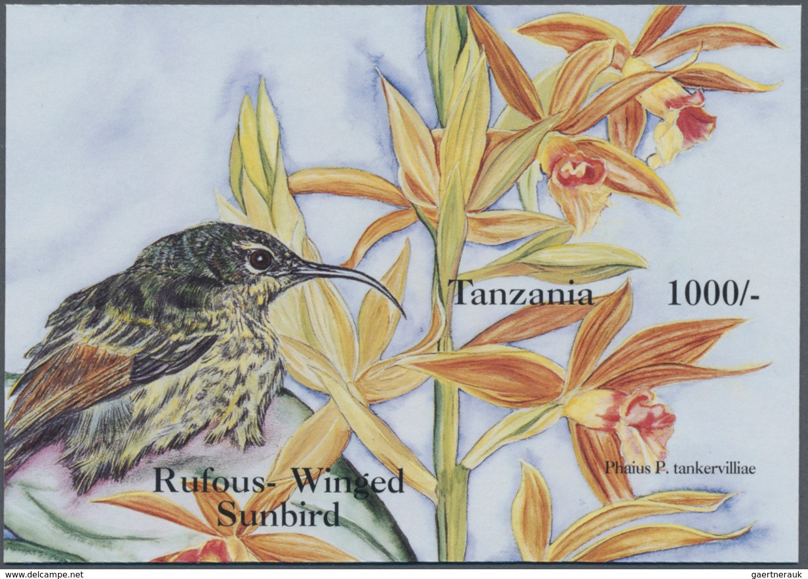 Thematik: Flora-Orchideen / Flora-orchids: 1994, Tanzania. Imperforate Souvenir Sheet (1 Value) From - Orchideeën