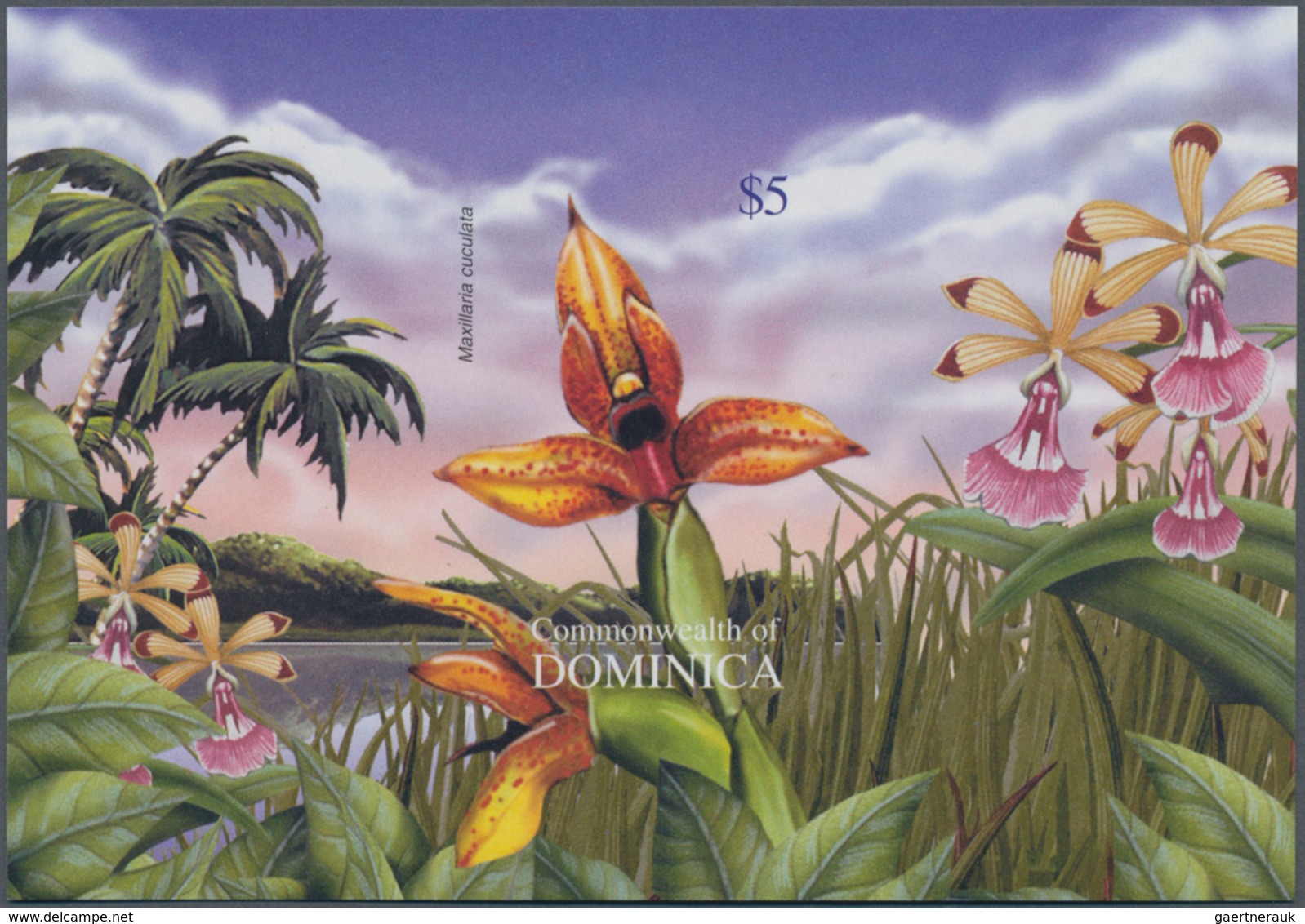 Thematik: Flora-Orchideen / Flora-orchids: 2004, Dominica. Imperforate Souvenir Sheet (1 Value) Show - Orchideeën