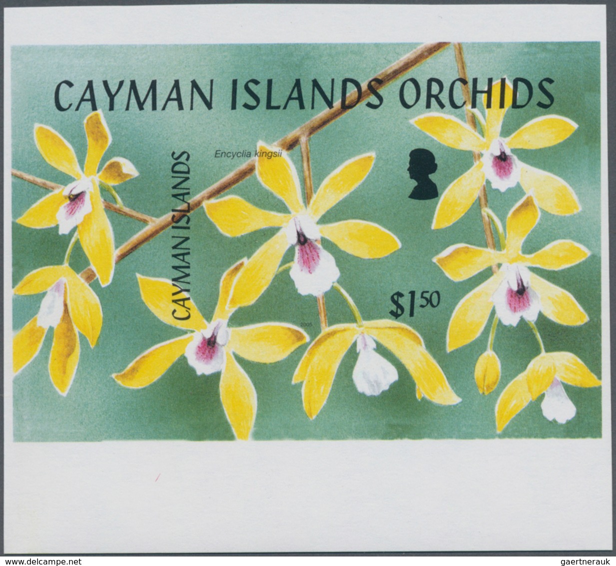 Thematik: Flora-Orchideen / Flora-orchids: 2005, CAYMAN ISLANDS: Orchids Complete Set Of Five In Hor - Orchideeën