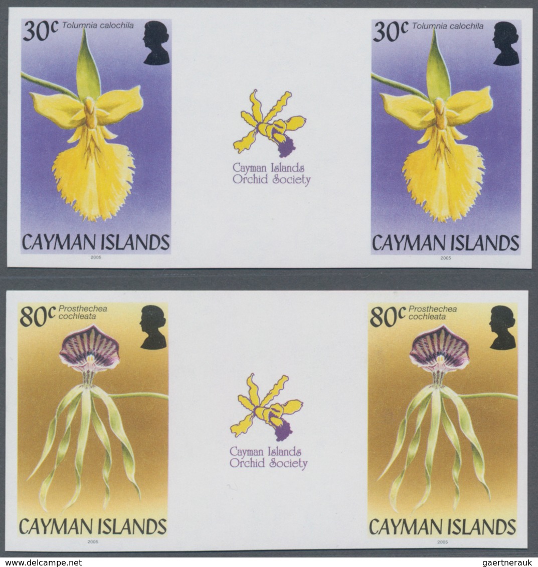 Thematik: Flora-Orchideen / Flora-orchids: 2005, CAYMAN ISLANDS: Orchids Complete Set Of Five In Hor - Orchideen