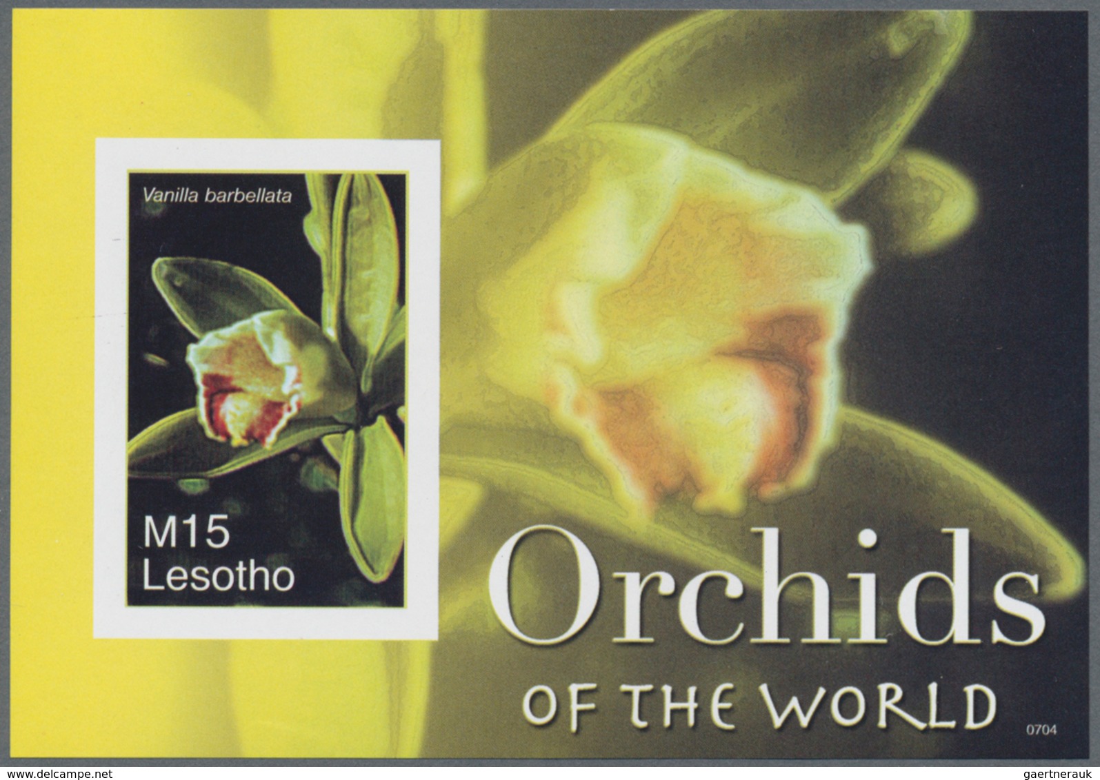 Thematik: Flora-Orchideen / Flora-orchids: 2007, Lesotho. Imperforate Souvenir Sheet (1 Value) From - Orchidee