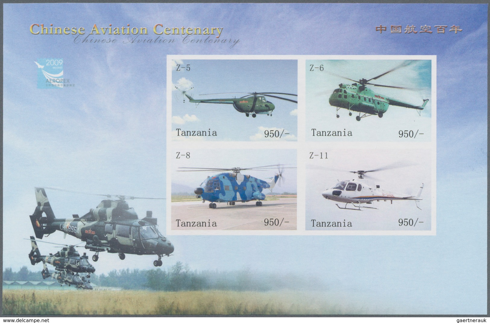 Thematik: Flugzeuge-Hubschrauber / Airplanes-helicopter: 2010, Tanzania. Imperforate Miniature Sheet - Flugzeuge