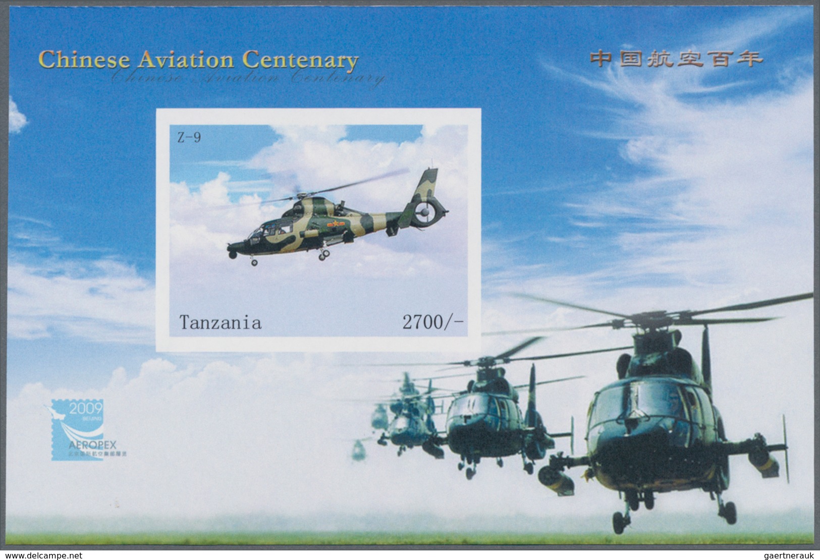 Thematik: Flugzeuge-Hubschrauber / Airplanes-helicopter: 2010, Tanzania. Imperforate Souvenir Sheet - Flugzeuge