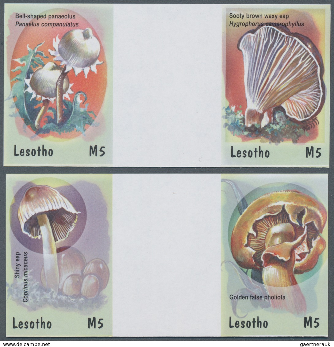 Thematik: Pilze / Mushrooms: 2001, Lesotho. Complete Set "Mushrooms" In 2 Horizontal Gutter Pairs Sh - Paddestoelen