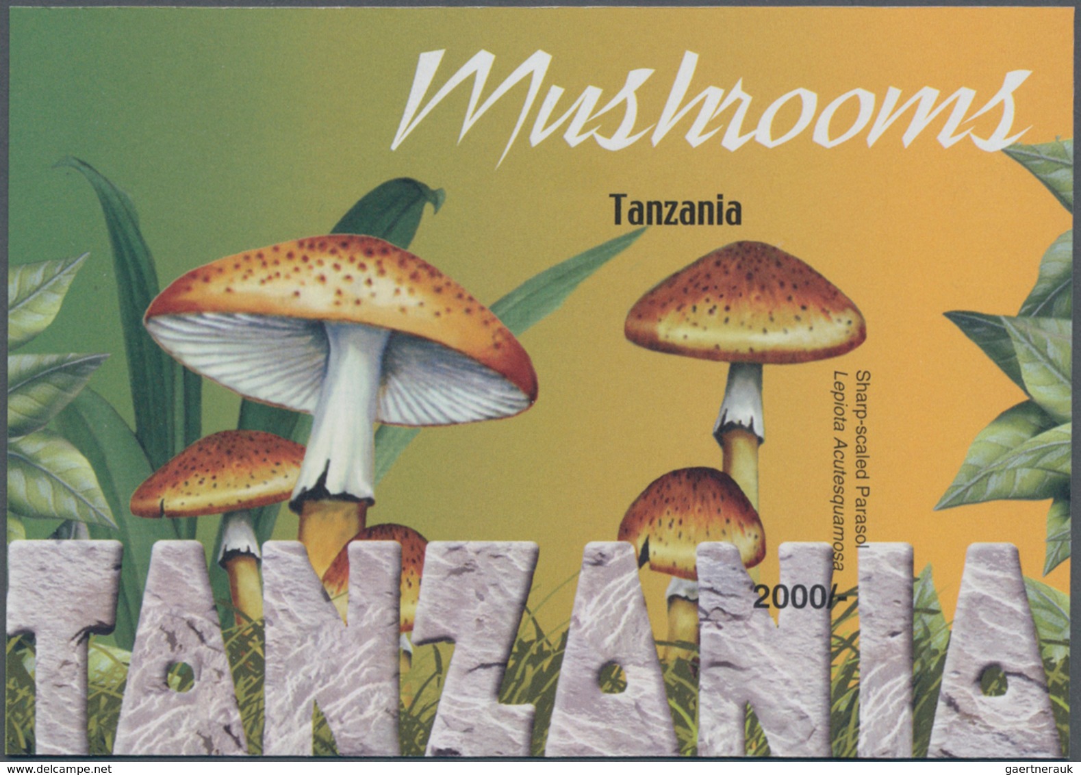 Thematik: Pilze / Mushrooms: 2004, Tanzania. Imperforate Souvenir Sheet (1 Value) From The Issue "Mu - Funghi