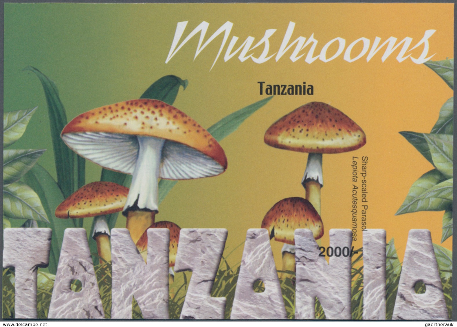 Thematik: Pilze / Mushrooms: 2004, Tanzania. Imperforate Souvenir Sheet (1 Value) From The Issue "Mu - Mushrooms