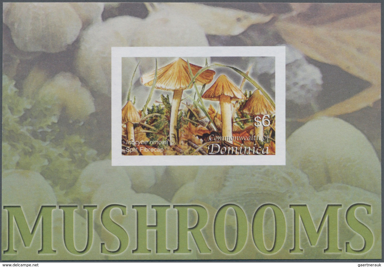 Thematik: Pilze / Mushrooms: 2005, Dominica. Imperforate Souvenir Sheet (1 Value) Showing "Split Fib - Paddestoelen