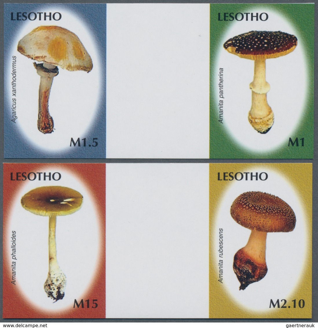Thematik: Pilze / Mushrooms: 2007, Lesotho. Complete Set "Mushrooms" In 2 Horizontal Gutter Pairs Sh - Paddestoelen