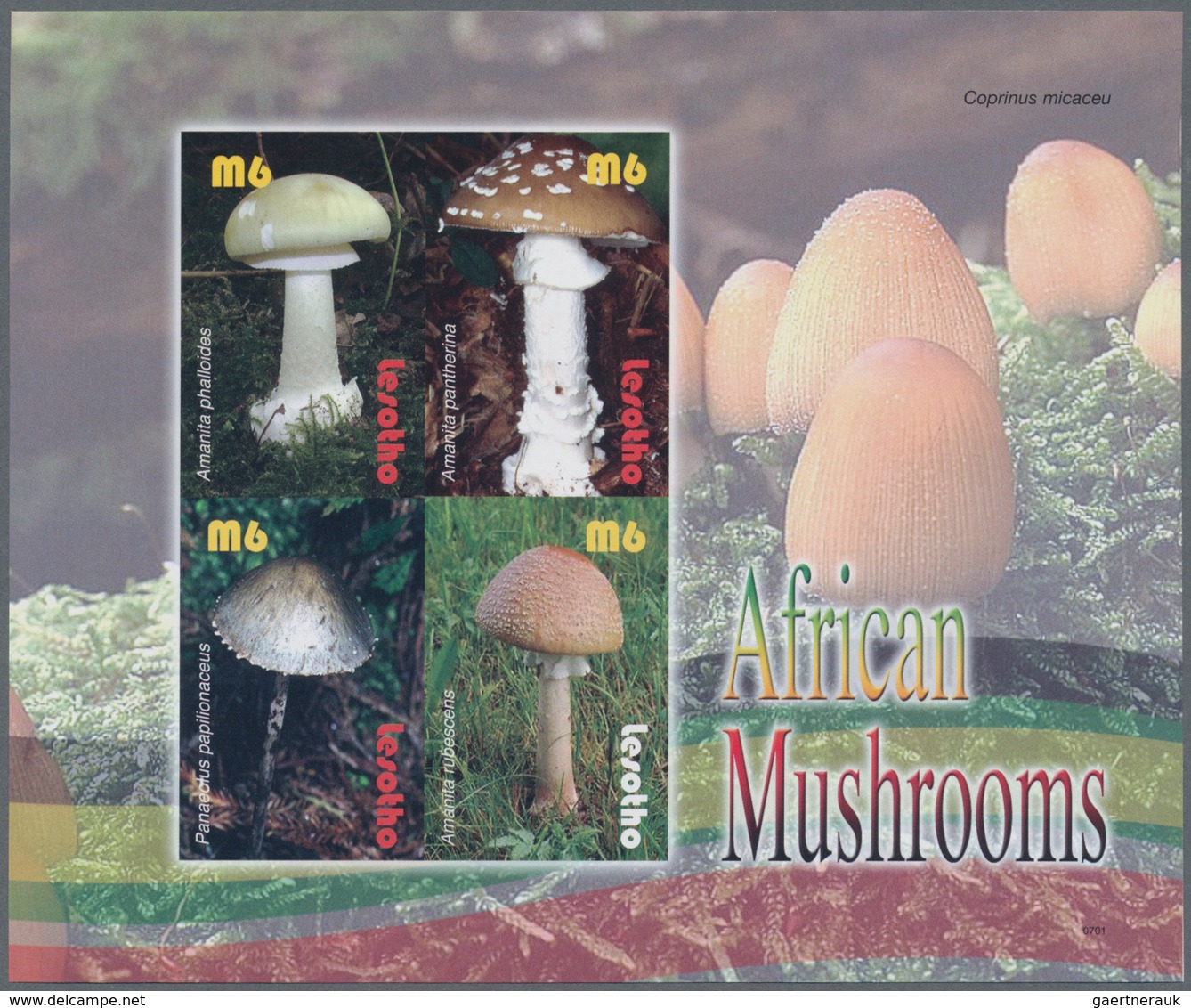 Thematik: Pilze / Mushrooms: 2007, Lesotho. Imperforate Miniature Sheet Of 4 For The "Mushrooms From - Hongos