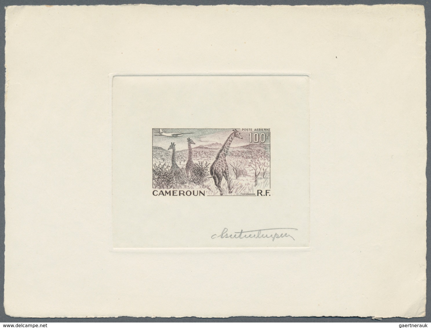 Thematik: Tiere, Fauna / Animals, Fauna: 1955, Cameroon. Lot Of 4 Epreuves D'artiste Signée For The - Andere & Zonder Classificatie