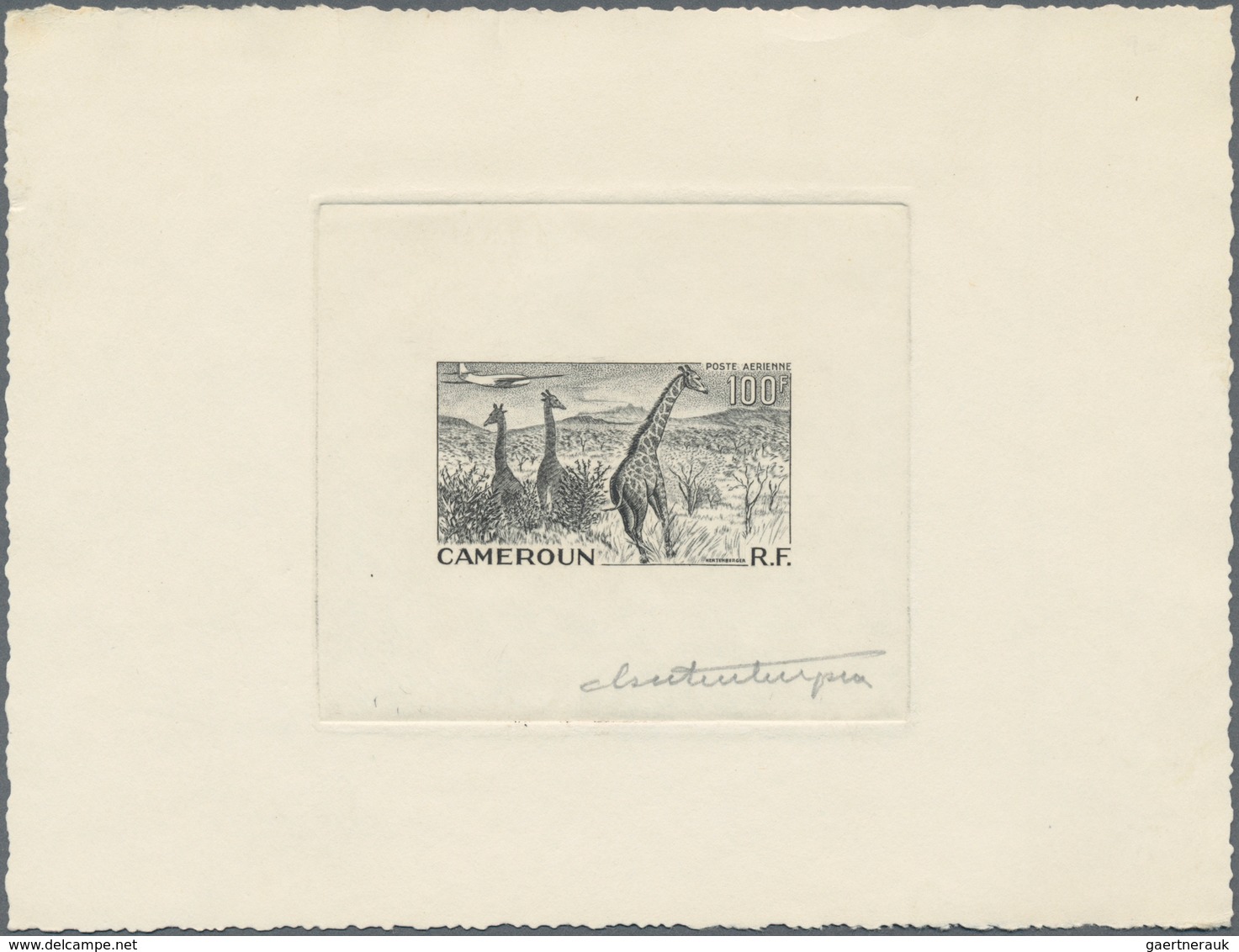 Thematik: Tiere, Fauna / animals, fauna: 1955, Cameroon. Lot of 4 Epreuves d'artiste signée for the