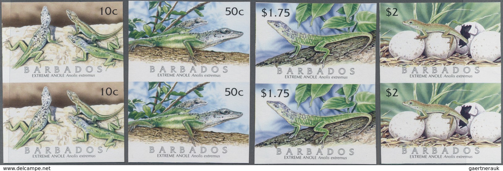 Thematik: Tiere-Amphibien / Animals-amphibian: 2005, BARBADOS: Lizard 'Barbados Anole (Anolis Extrem - Andere & Zonder Classificatie