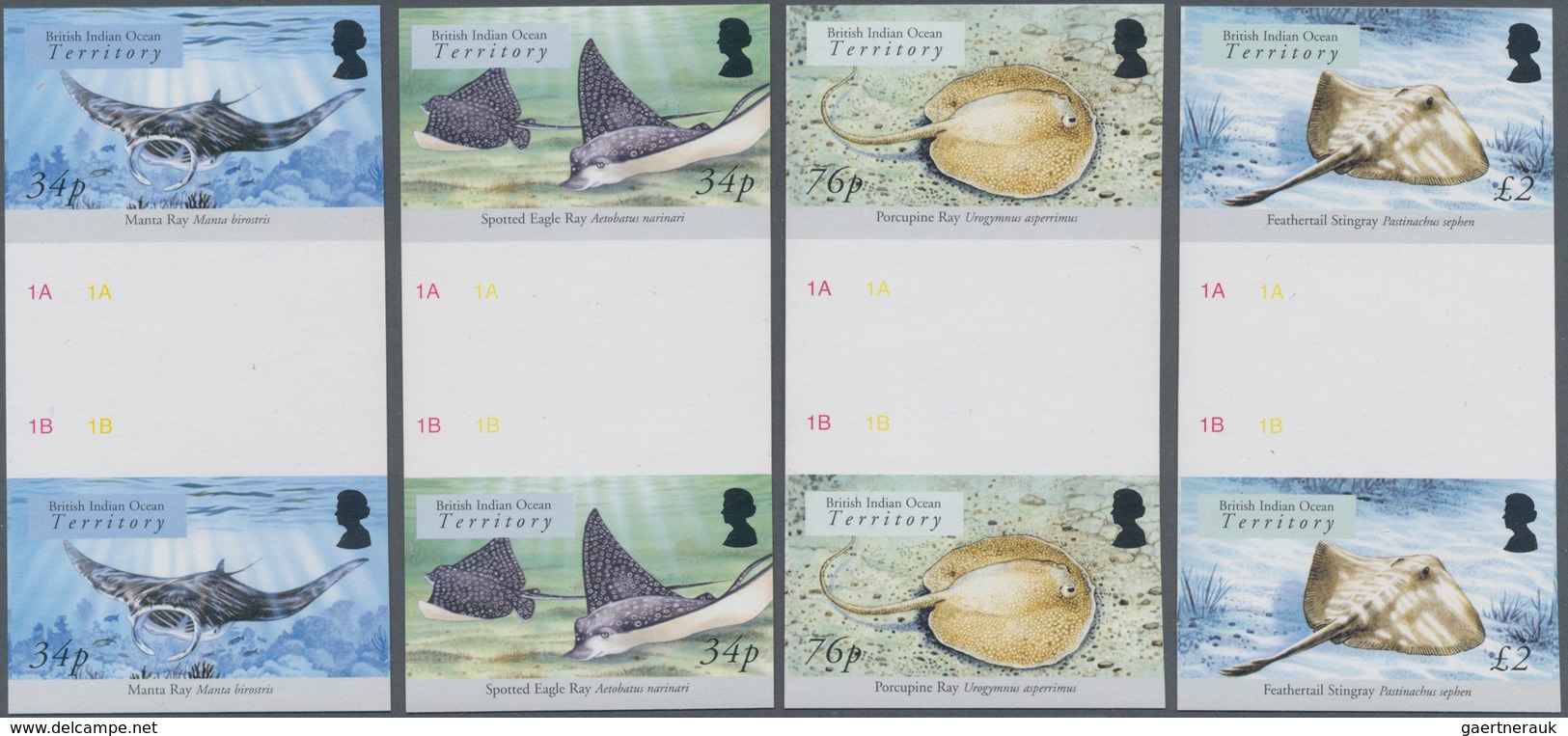 Thematik: Tiere-Fische / Animals-fishes: 2005, BRITISH INDIAN OCEAN TERRITORY: Sharks And Rays Compl - Fische