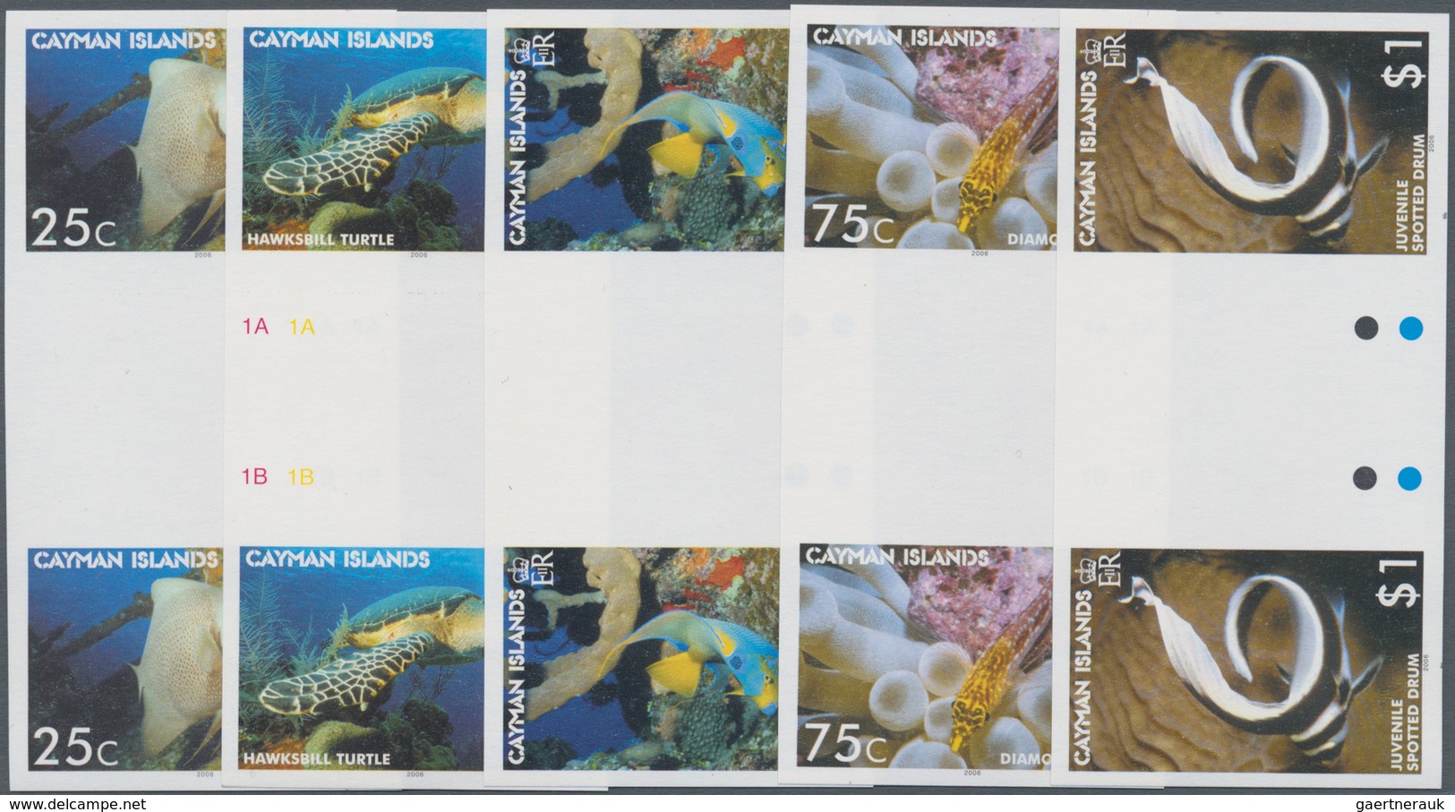 Thematik: Tiere-Fische / Animals-fishes: 2006, CAYMAN ISLANDS: Sea Animals Complete Set Of Five (fis - Vissen