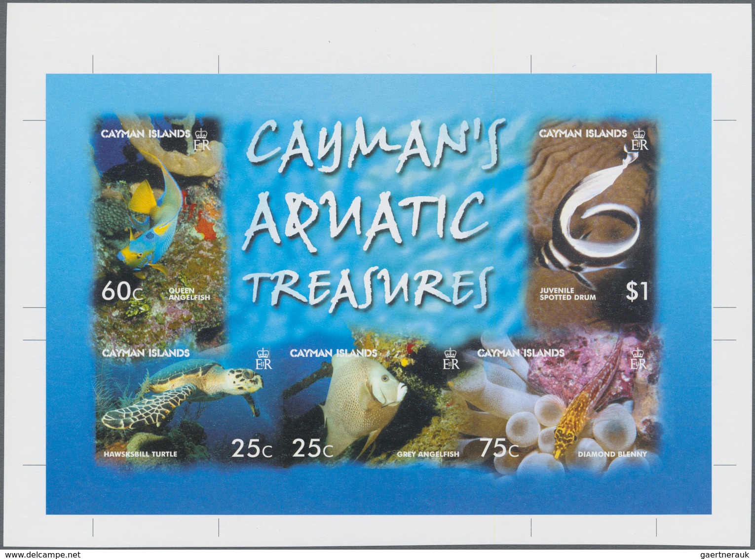 Thematik: Tiere-Fische / Animals-fishes: 2006, CAYMAN ISLANDS: Sea Animals Complete Set Of Five (fis - Fische