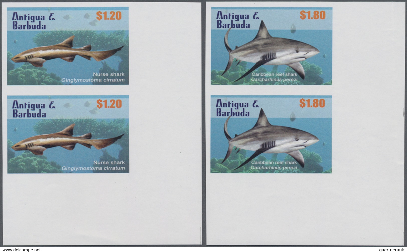 Thematik: Tiere-Fische / Animals-fishes: 2010, ANTIGUA & BARBUDA: Sharks Complete Set Of Four (Nurse - Poissons