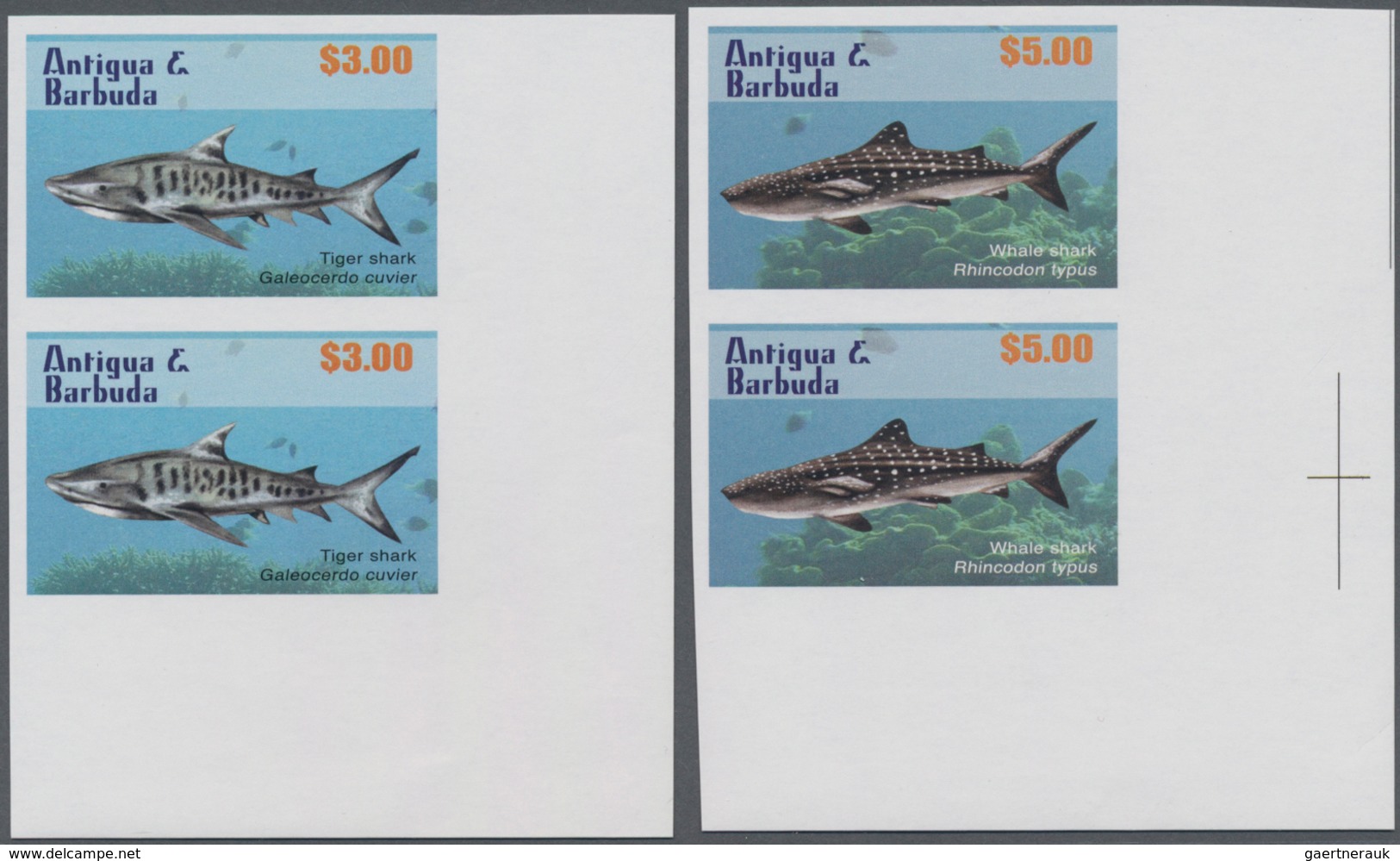 Thematik: Tiere-Fische / Animals-fishes: 2010, ANTIGUA & BARBUDA: Sharks Complete Set Of Four (Nurse - Vissen