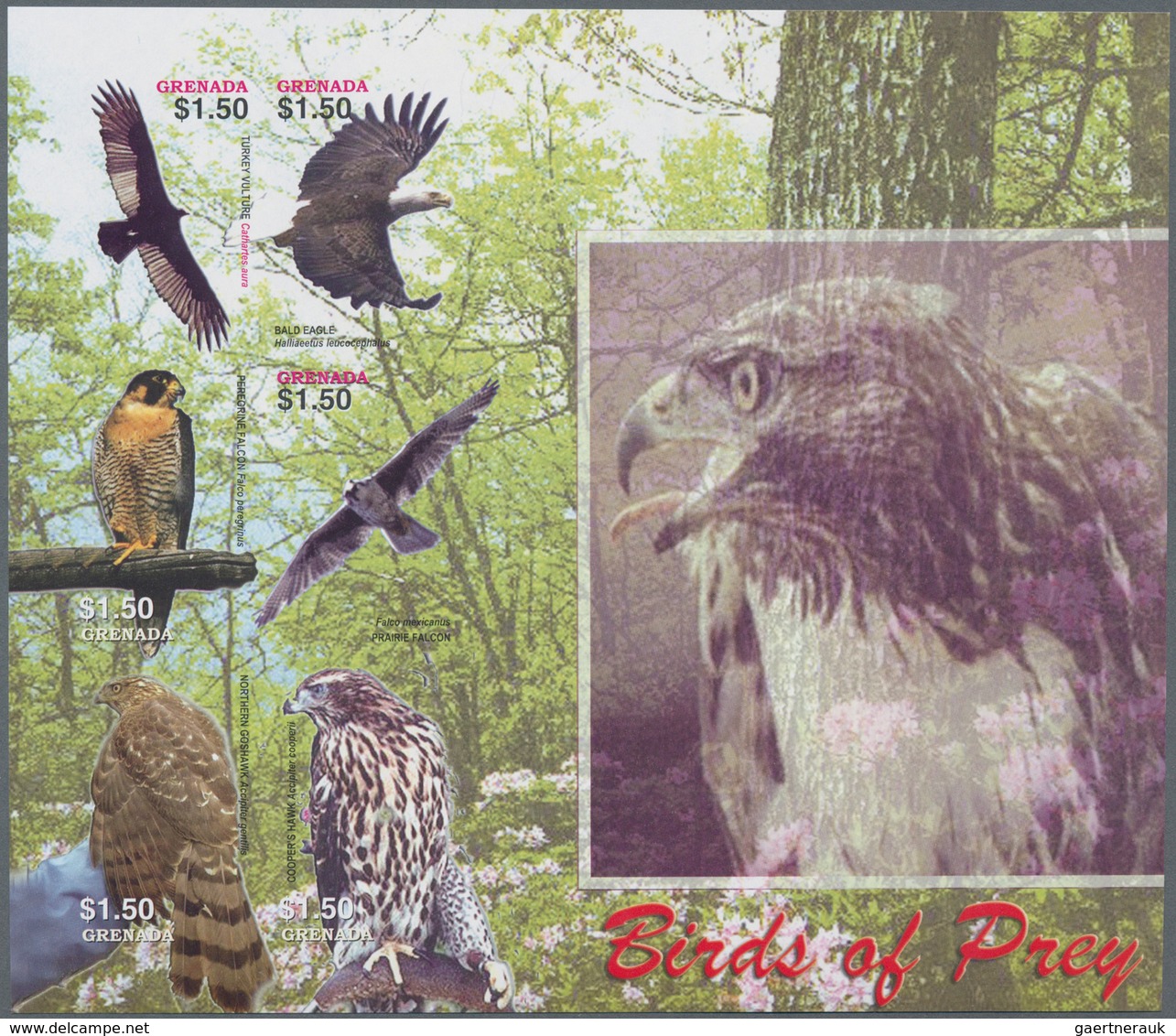 Thematik: Tiere-Greifvögel / Animals-birds Of Prey: 2005, GRENADA: Birds Of Prey Complete Set Of Six - Arends & Roofvogels