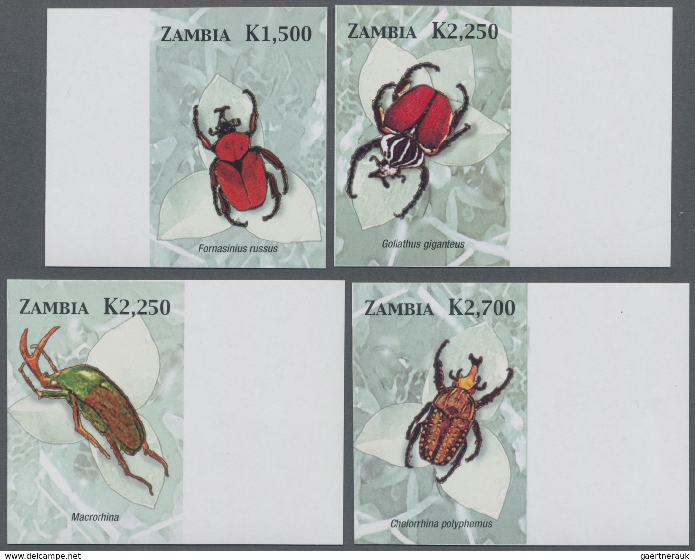 Thematik: Tiere-Insekten / Animals-insects: 2005, ZAMBIA: African Beetles IMPERFORATE Set Of Four Fr - Other & Unclassified