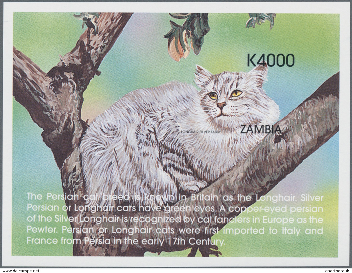 Thematik: Tiere-Katzen / Animals-cats: 1999, ZAMBIA: Cats Set In Of Two IMPERFORATE Miniature Sheets - Hauskatzen