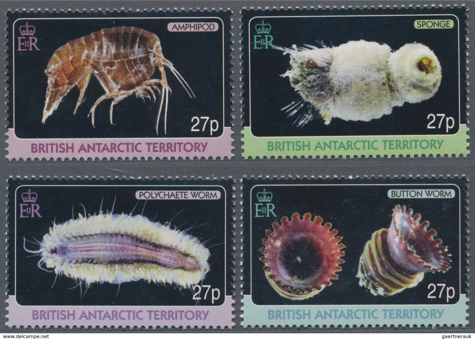 Thematik: Tiere-Meerestiere / Animals-sea Animals: 2010, BRITISH ANTARCTIC TERRITORY: International - Meereswelt