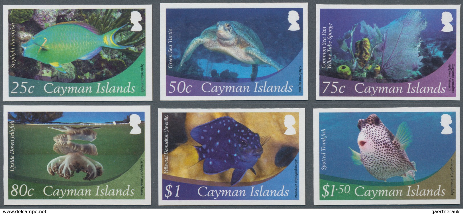 Thematik: Tiere-Meerestiere / Animals-sea Animals: 2012, Cayman Islands. Complete Imperforate Defini - Maritiem Leven