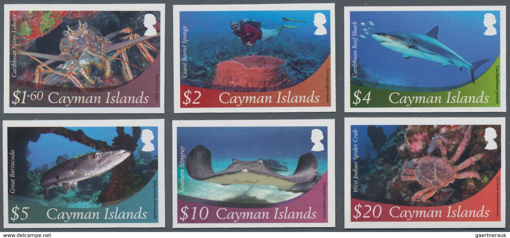 Thematik: Tiere-Meerestiere / Animals-sea Animals: 2012, Cayman Islands. Complete Imperforate Defini - Maritiem Leven