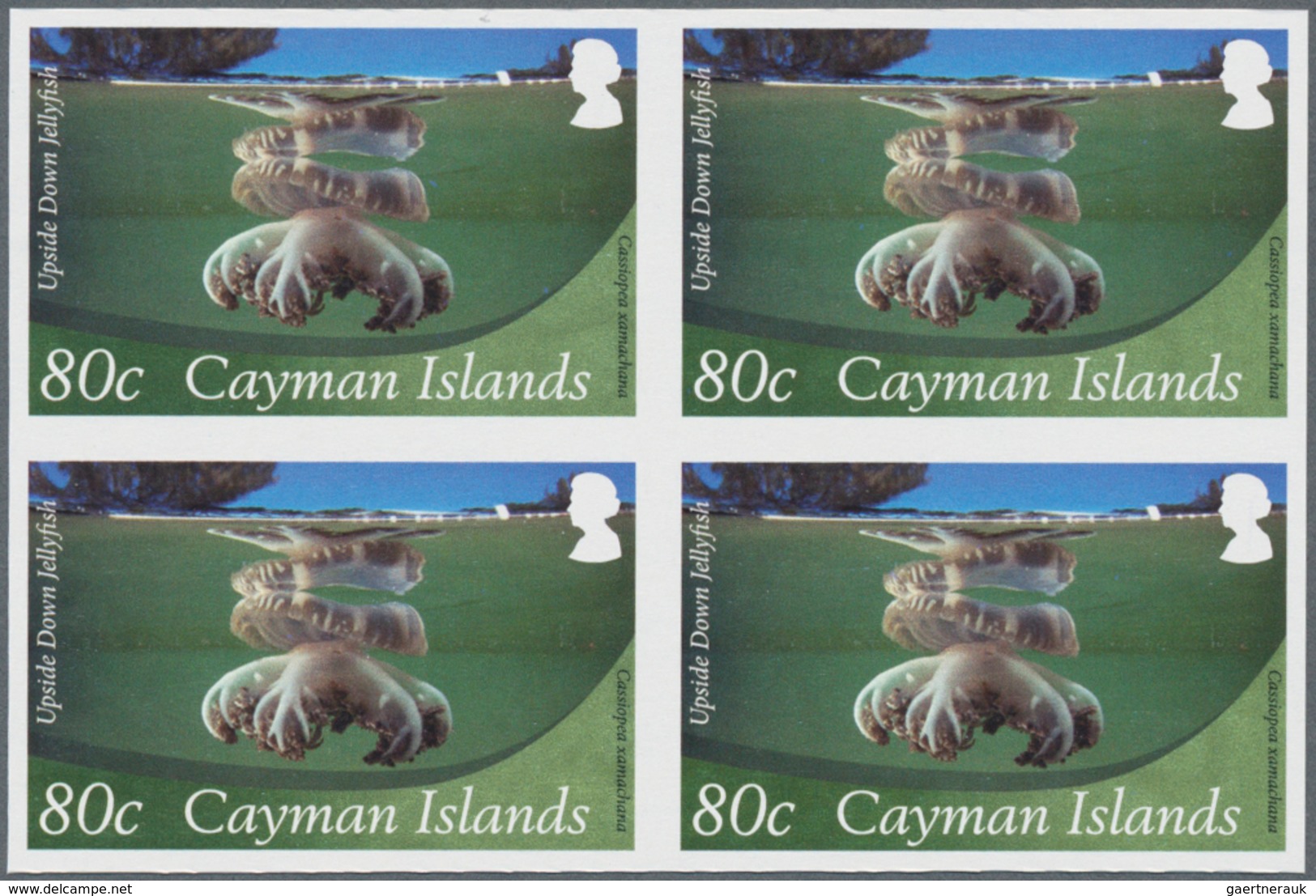 Thematik: Tiere-Meerestiere / Animals-sea Animals: 2012, Cayman Islands. Imperforate Block Of 4 For - Meereswelt