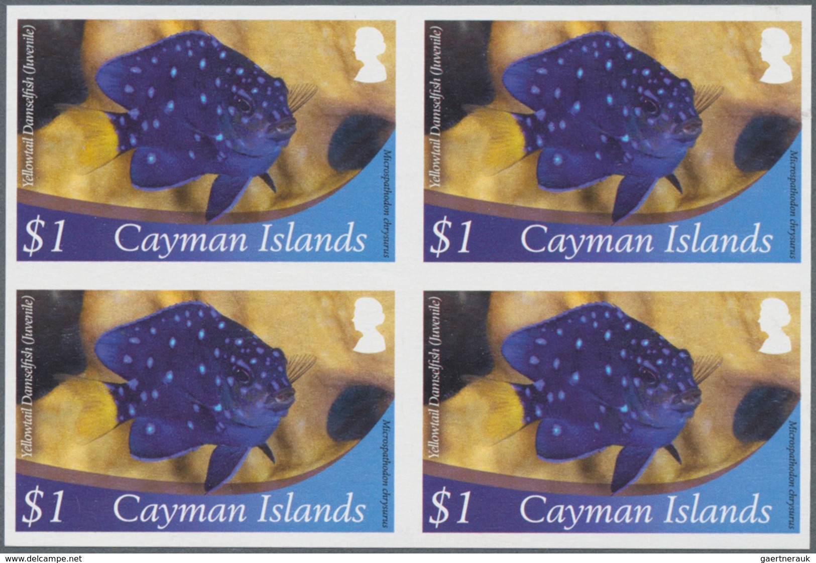 Thematik: Tiere-Meerestiere / Animals-sea Animals: 2012, Cayman Islands. Imperforate Block Of 4 For - Meereswelt