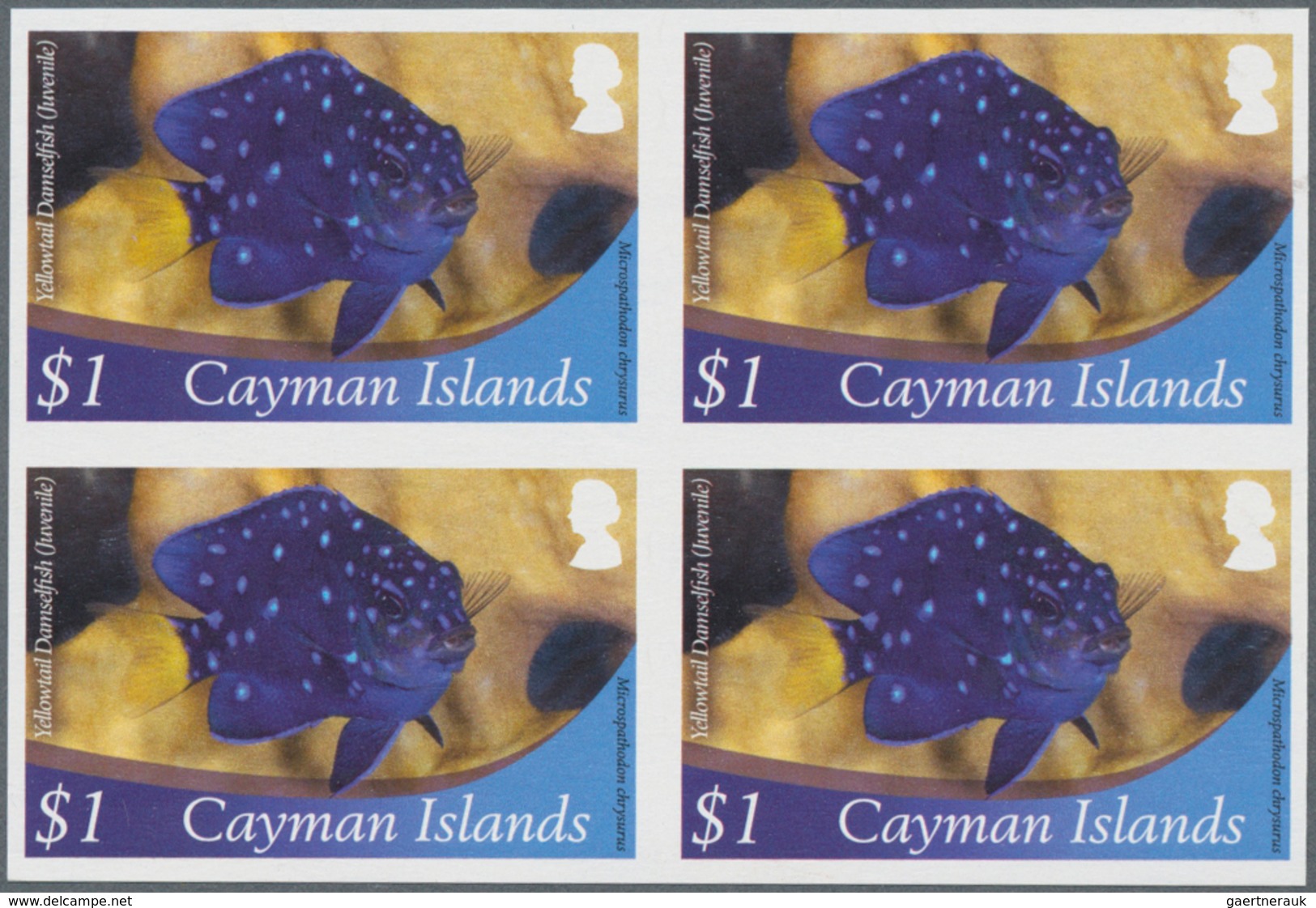 Thematik: Tiere-Meerestiere / Animals-sea Animals: 2012, Cayman Islands. Imperforate Block Of 4 For - Marine Life