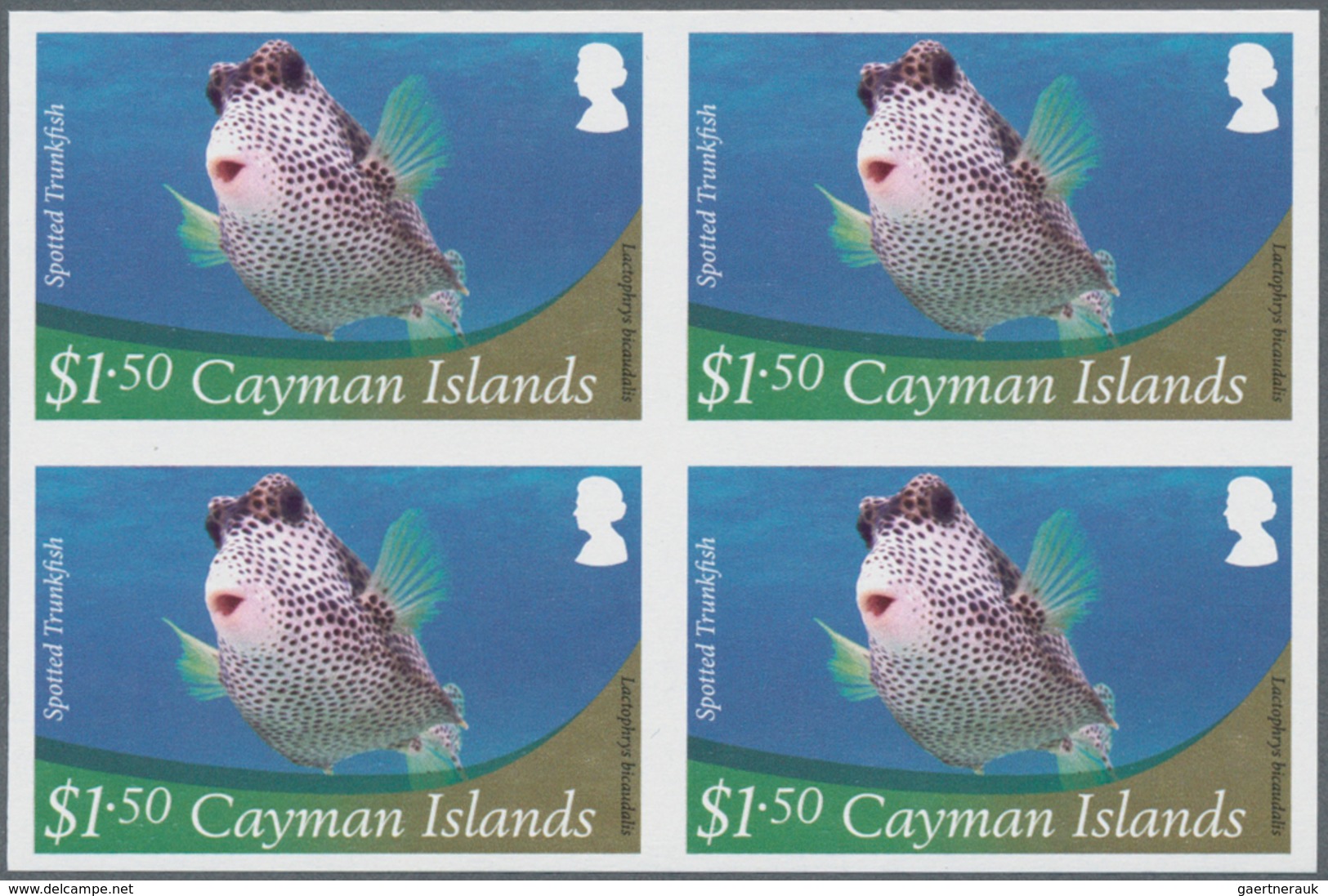 Thematik: Tiere-Meerestiere / Animals-sea Animals: 2012, Cayman Islands. Imperforate Block Of 4 For - Marine Life