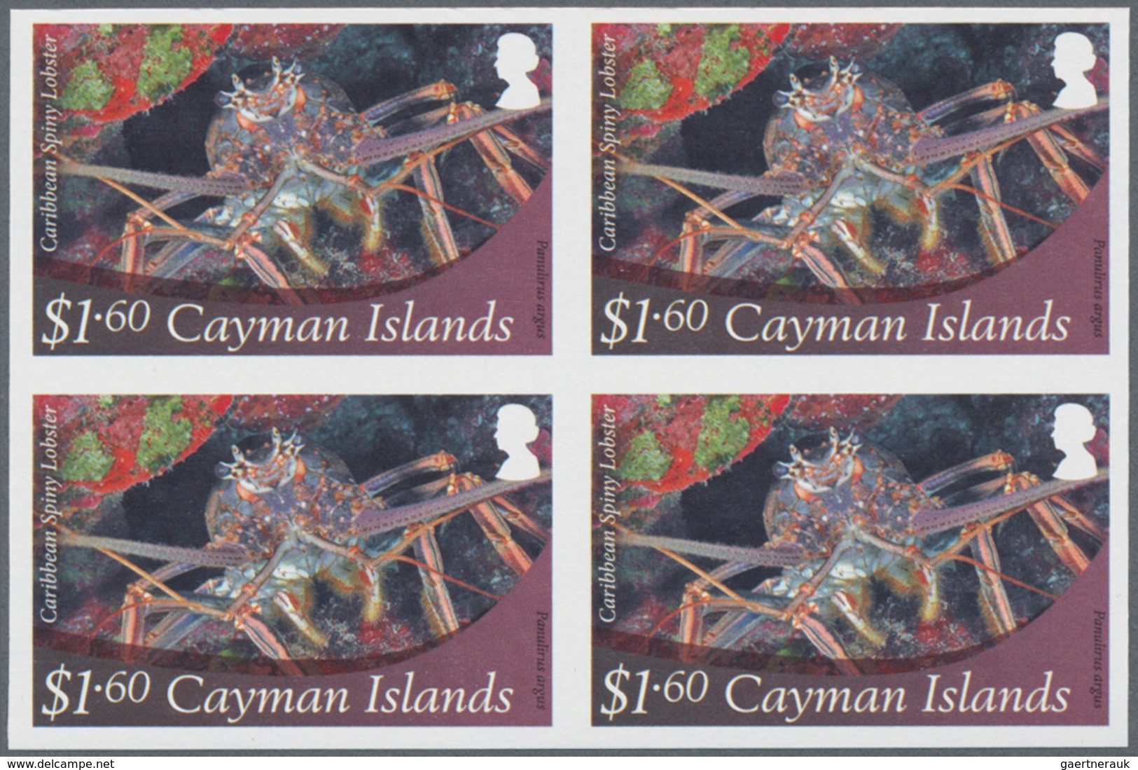 Thematik: Tiere-Meerestiere / Animals-sea Animals: 2012, Cayman Islands. Imperforate Block Of 4 For - Marine Life