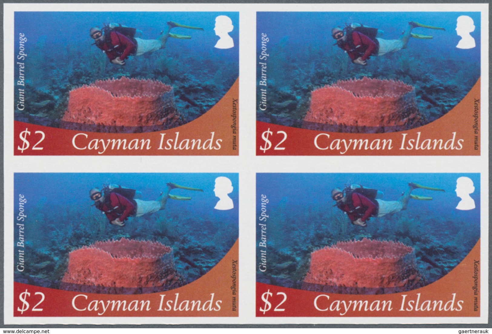 Thematik: Tiere-Meerestiere / Animals-sea Animals: 2012, Cayman Islands. Imperforate Block Of 4 For - Marine Life