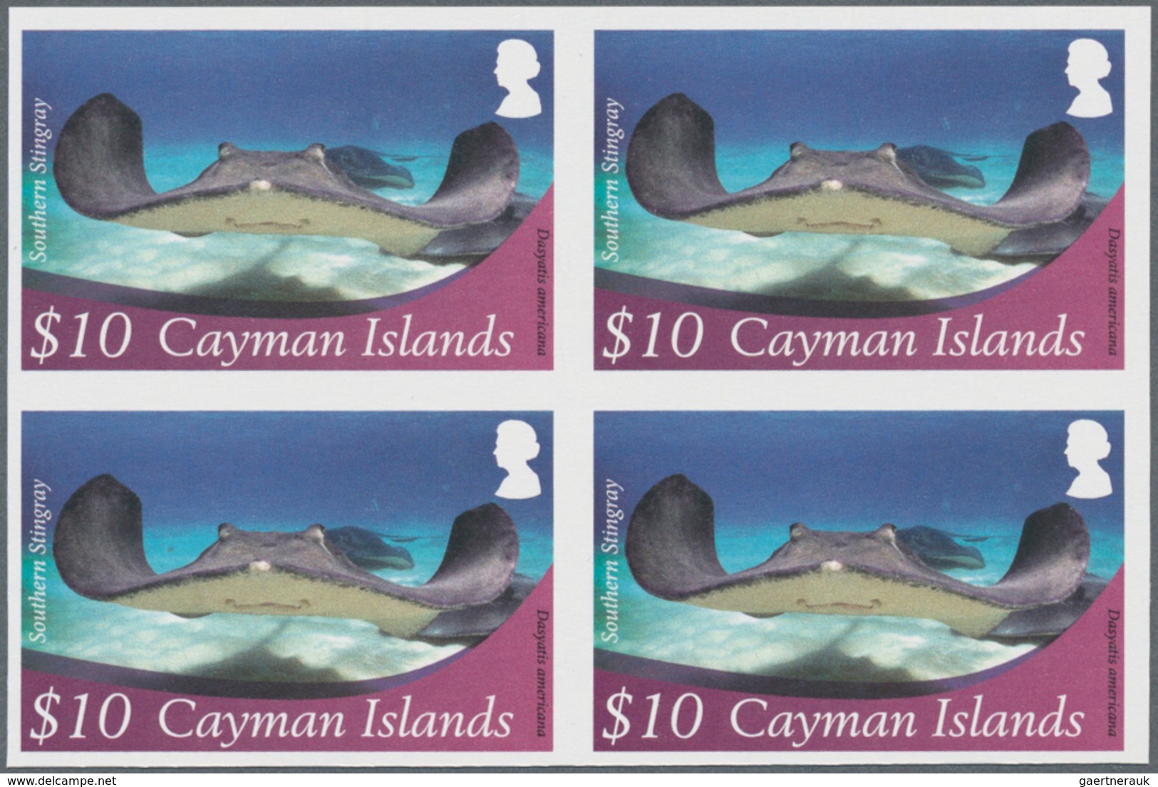 Thematik: Tiere-Meerestiere / Animals-sea Animals: 2012, Cayman Islands. Imperforate Block Of 4 For - Meereswelt