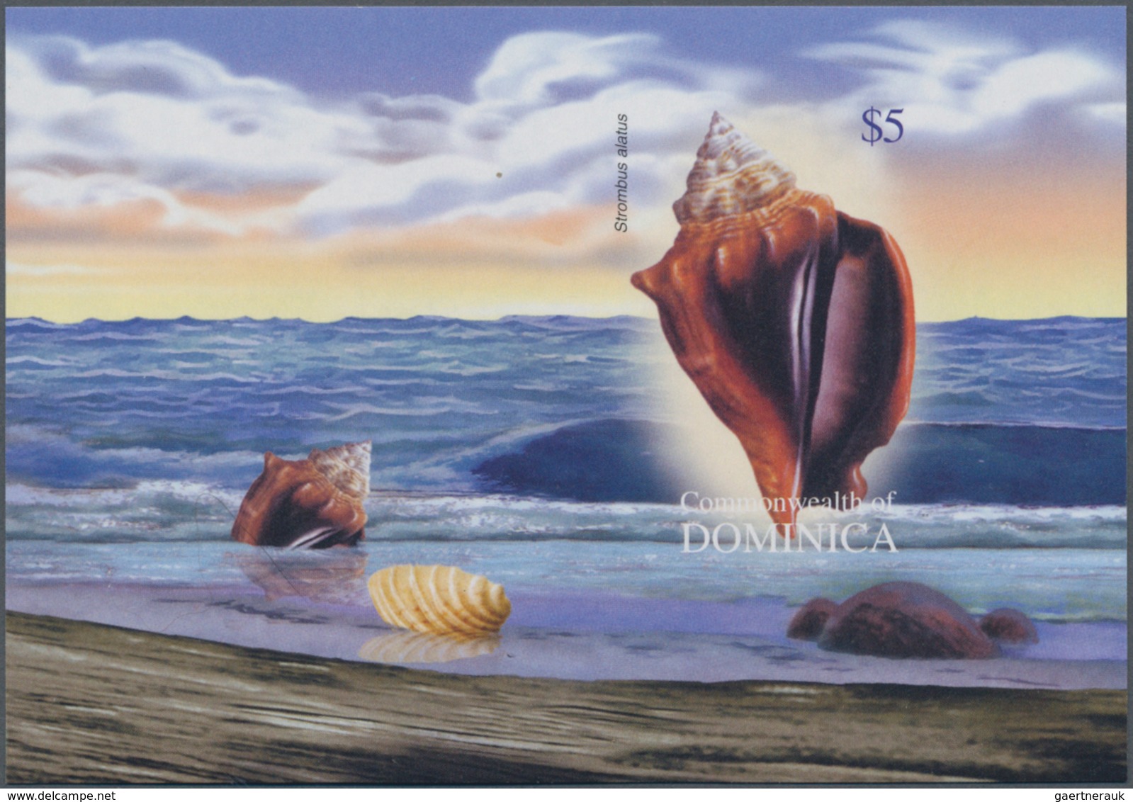 Thematik: Tiere-Meerestiere-Muscheln / Animals-sea Animals-shells: 2004, Dominica. Imperforate Souve - Schelpen