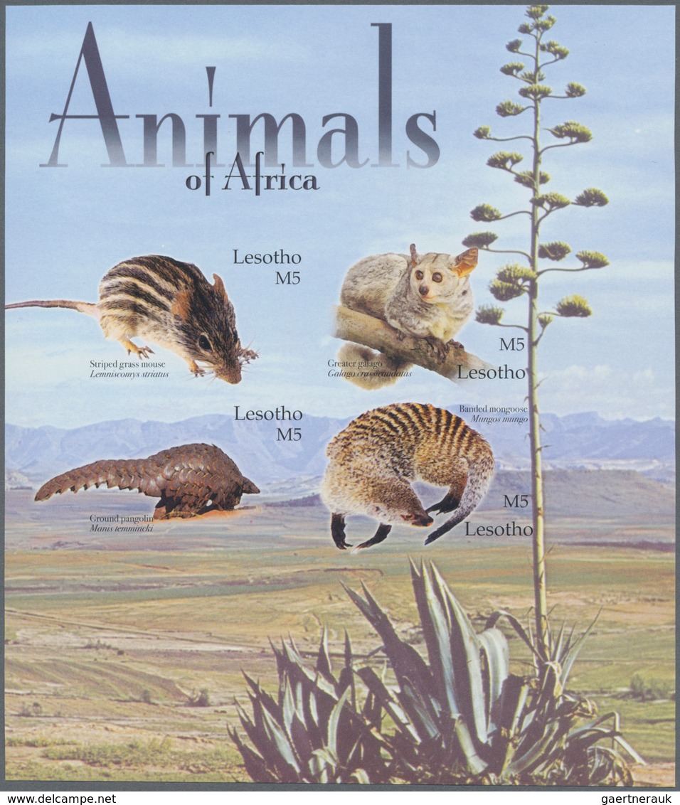 Thematik: Tiere-Säugetiere / Animals-mammals: 2004, Lesotho. Imperforate Miniature Sheet Of 4 For Th - Sonstige & Ohne Zuordnung