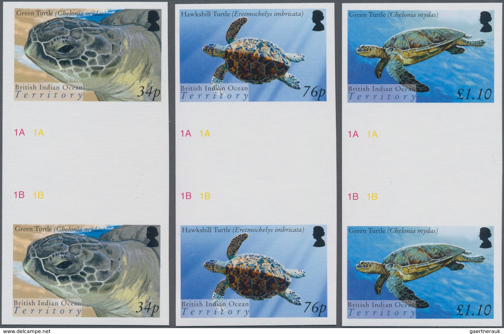 Thematik: Tiere-Schildkröten / Animals-turtles: 2005, BRITISH INDIAN OCEAN TERRITORY: Turtles Comple - Schildpadden