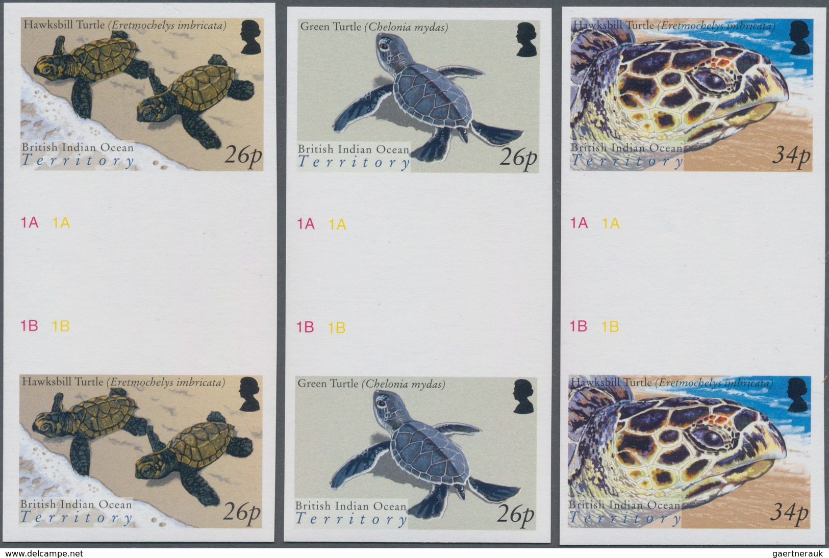 Thematik: Tiere-Schildkröten / Animals-turtles: 2005, BRITISH INDIAN OCEAN TERRITORY: Turtles Comple - Schildpadden
