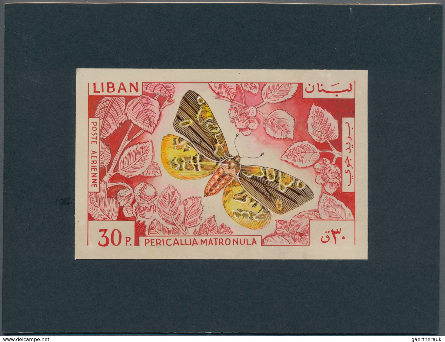 Thematik: Tiere-Schmetterlinge / Animals-butterflies: 1965, Libanon, Issue Butterflys, Artist Drawin - Vlinders