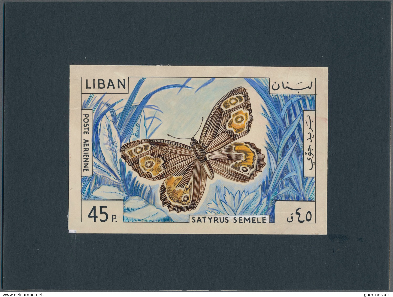 Thematik: Tiere-Schmetterlinge / Animals-butterflies: 1965, Libanon, Issue Butterflys, Artist Drawin - Vlinders