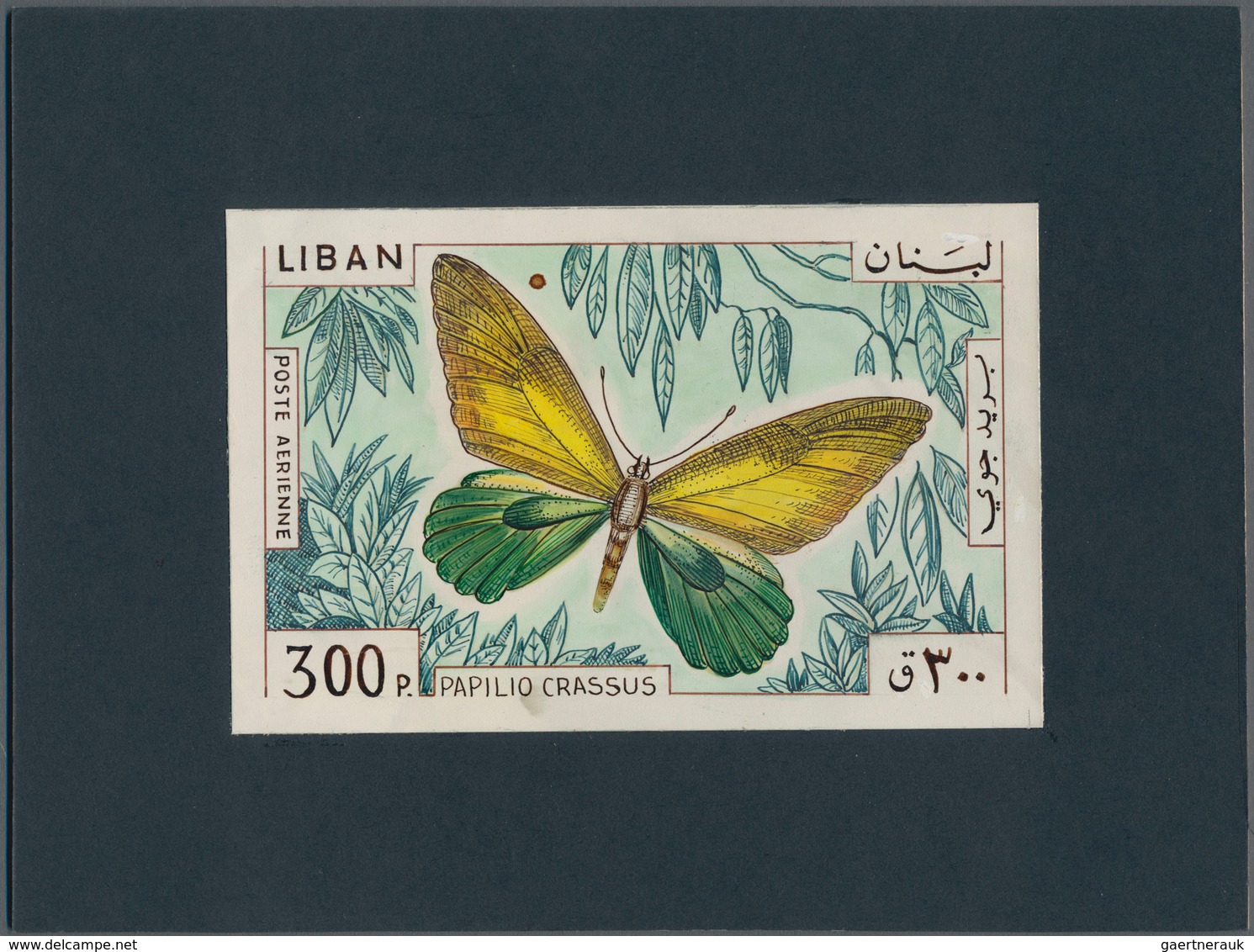 Thematik: Tiere-Schmetterlinge / Animals-butterflies: 1965, Libanon, Issue Butterflys, Artist Drawin - Vlinders