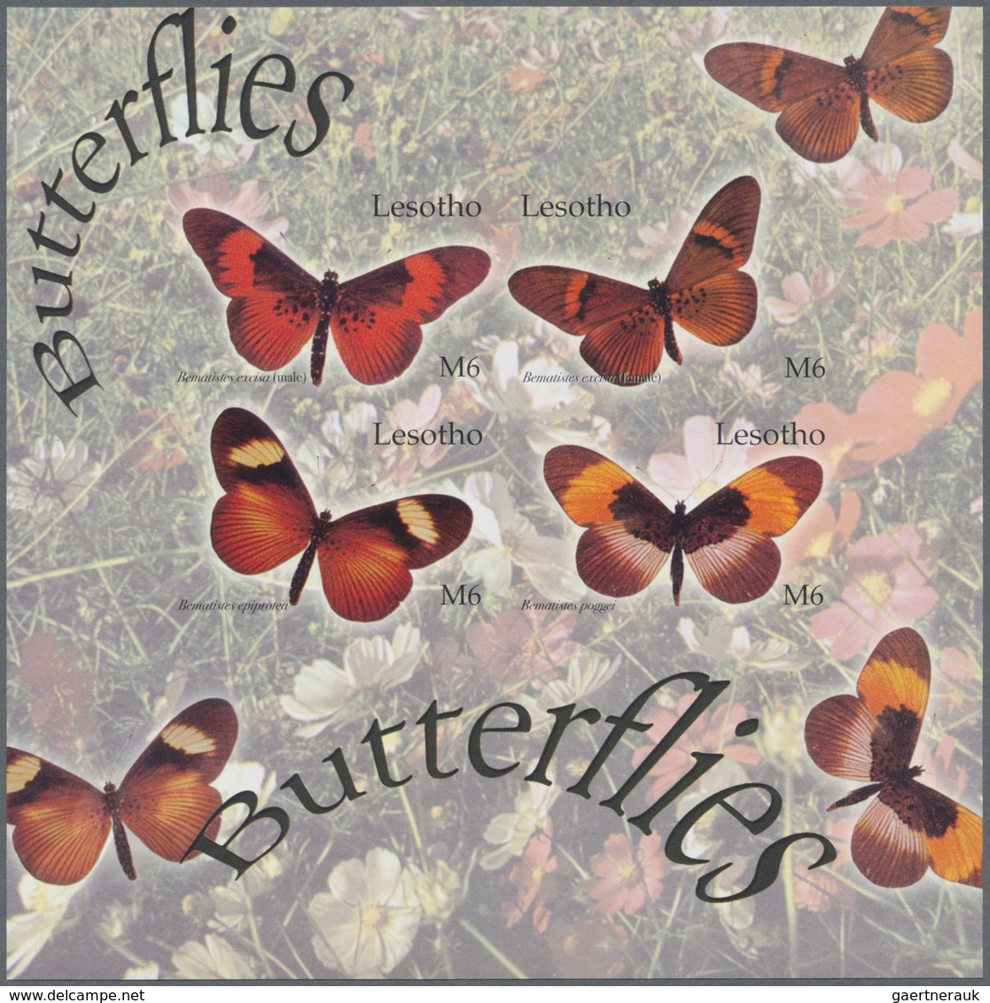 Thematik: Tiere-Schmetterlinge / Animals-butterflies: 2004, Lesotho. Imperforate Miniature Sheet Of - Schmetterlinge